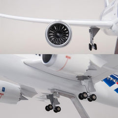 1:130 All Nippon Airways B787 Airplane Model 18” Decoration & Gift (LED)