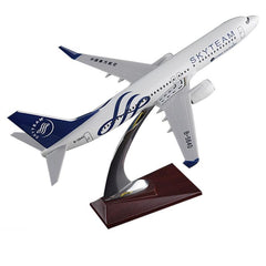 South Aerospace Cooperation Alliance Boeing 737 Airplane Model 1:200