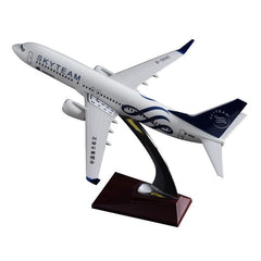 South Aerospace Cooperation Alliance Boeing 737 Airplane Model 1:200
