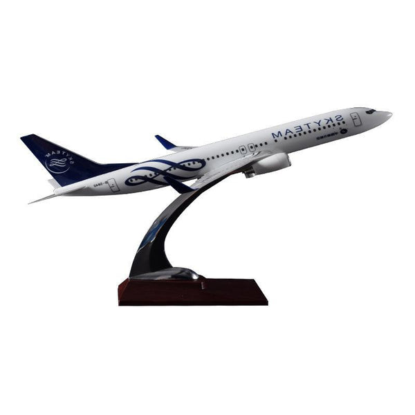 South Aerospace Cooperation Alliance Boeing 737 Airplane Model 1:200