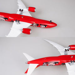 1:130 Hainan Airlines Panda Boeing 787 Airplane Model 18” Decoration & Gift (LED)